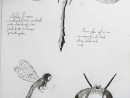 cursuri arta 2 130x98 Atelier Grafica contemporana – Desen Creion, Creion mecanic, Pix, Liner (8 18 ani)