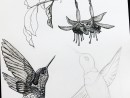 cursuri arta 23 130x98 Atelier Grafica contemporana – Desen Creion, Creion mecanic, Pix, Liner (8 18 ani)