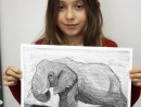 Grup 8 10 ani Desen Carbune Animal de Jungla Adara. 130x98 Atelier de pictura si desen, 8 10 ani