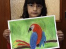 Grup 8 10 ani Desen Pastel Cretat Papagal Alexandra 130x98 Atelier de pictura si desen, 8 10 ani