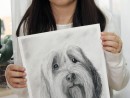 Grup Animale Desen Carbune Portret de Caine Augusta 130x98 Atelier de pictura si desen, 10 14 ani