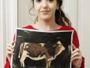 Grup Animale Pictura tempera Vaca Shishkin Ioana1 130x98 Atelier de pictura si desen, 10 14 ani
