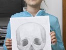 Grup Figura umana Desen Creion Craniu frontal Cezara 130x98 Atelier de pictura si desen, 10 14 ani