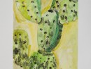Scoala De Vara Acuarela Gradina Botanica Studiu Plante Cactus Sinziana 130x98 Scoala de Vara, 2015
