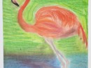 Scoala De Vara Desen Pastel Cretat Gradina Zoologica Studiu Animale Flamingo Briana 130x98 Scoala de Vara, 2015