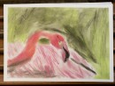 Scoala De Vara Desen Pastel Cretat Gradina Zoologica Studiu Animale Flamingo Razvan 130x98 Scoala de Vara, 2015