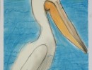 Scoala De Vara Desen Pastel Cretat Gradina Zoologica Studiu Animale Pelican Cristi 130x98 Scoala de Vara, 2015