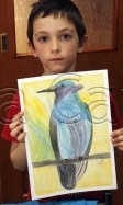 Clasa 6 8 ani Desen Creioane Colorate Colibri Henri. 112x187 Rezultate de exceptie la cursurile de pictura si desen