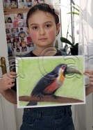 Clasa 8 10 ani Desen Pastel Cretat Tucan Alexandra. 134x187 Rezultate de exceptie la cursurile de pictura si desen