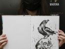 MG 5461 130x98 Atelier Grafica contemporana – Desen Creion, Creion mecanic, Pix, Liner (8 18 ani)