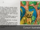 Curs Ilustratie de Carte / Ilustrator, copii (8-18 ani)