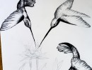 cursuri arta 61 130x98 Atelier Grafica contemporana – Desen Creion, Creion mecanic, Pix, Liner (8 18 ani)