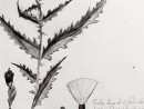 cursuri online 631 130x98 Atelier Grafica contemporana – Desen Creion, Creion mecanic, Pix, Liner (8 18 ani)