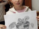 Grup 10 14 ani Desen Creion Ghiveci cu Frunze.Maria . 130x98 Atelier de pictura si desen, 10 14 ani