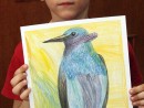 Grup 6 8 ani Desen Creioane Colorate Pasarea Colibri Henri 130x98 Atelier de pictura si desen, 6 8 ani