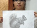 Grup Animale Desen Creion Veverita Augusta. 130x98 Atelier de pictura si desen, 10 14 ani