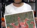 Grup Animale Desen Pastel Cretat Flamingo Augusta 130x98 Atelier de pictura si desen, 10 14 ani