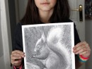 Grup Animale Desen creion Veverita Julia 130x98 Atelier de pictura si desen, 10 14 ani