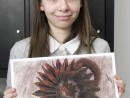 Grup Plante Desen Sepia Carbune Floarea Soarelui Maria 130x98 Atelier de pictura si desen, 10 14 ani