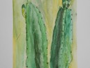Scoala De Vara Acuarela Gradina Botanica Studiu Plante Cactus Cristi 130x98 Scoala de Vara, 2015