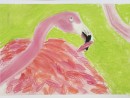Scoala De Vara Desen Pastel Cretat Gradina Zoologica Studiu Animale Flamingo Alexandra1 130x98 Scoala de Vara, 2015
