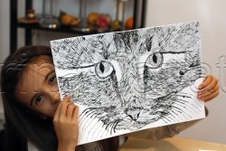 Clasa 8 10 ani Desen Penita Pisica Ema. 250x167 Rezultate de exceptie la cursurile de pictura si desen