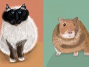 Gavrus Ilinca pisica hamster 130x98 Atelier Desen Digital copii (8 18 ani)